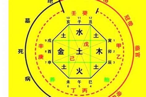 八字財庫意思|八字中的財庫到底是什麼？有財庫的八字一定會發財嗎